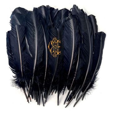 Hyacinth David Eugen Edwards