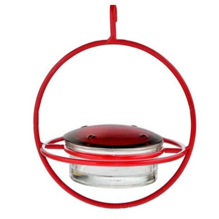 Hummingbird Mater Fugle Vann Mater RØD