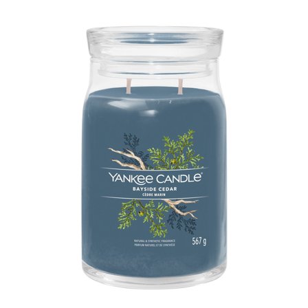 Yankee Candle Signature Jar Candles Bayside Cedar 567g - Candela Profumata