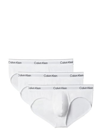 Hip Brief 3Pk White Calvin Klein