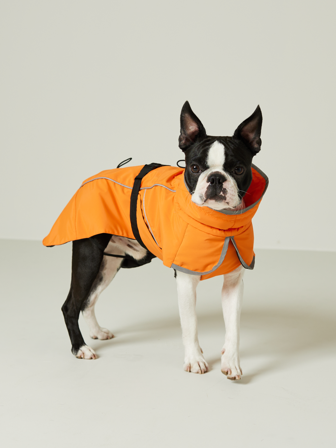 Jean Paul - Hundejakke - Herre - Oransje - Tilbehør - 35