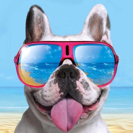 Timanttimaalaus koirasetti, rantakoira timanttitaide setti, kesälahja pyöreä timanttimaalaus, seinäkoriste 14x14 tuumaa