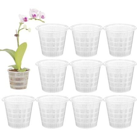 Transparent or Black Orchid Pots, 10 Plastic Orchid Pots Included