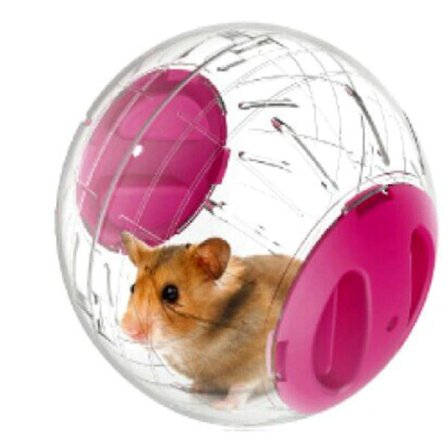 Dvärghamster löpboll mini 4,8 tum liten djur hamster löpningsövningsboll(Rosa)