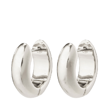 Pilgrim Mine Smycken & klockor Dam Silver ONESIZE