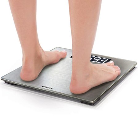 Soehnle Badrumsvåg Style Sense Safe 300 silver 180 kg 63867