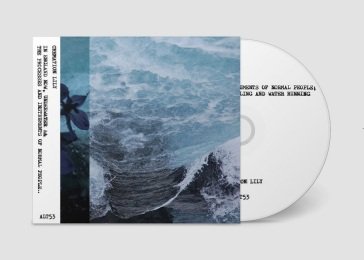 In england now & the processes... CREMATION LILY