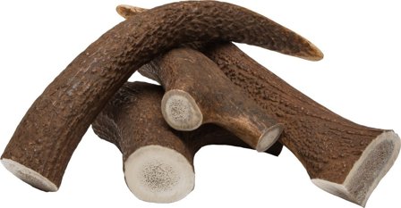 Cloud7 peuransarvi puruluu, L