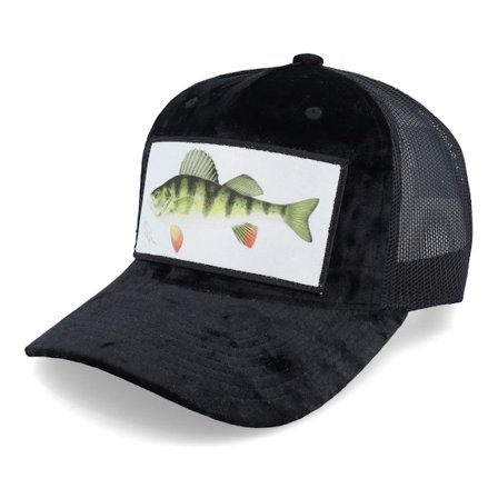 Skillfish - Perch Fishing Velvet Black Trucker Trucker Black Cap - @ Hatstore