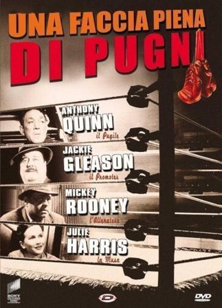Faccia Piena Di Pugni (Una)