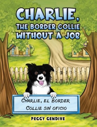 Charlie, The Border Collie Without a Job