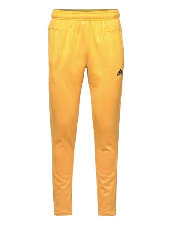 Bl Pnt1 Q4 Joggebukser Pysjbukser Gul Adidas Sportswear*Betinget Tilbud