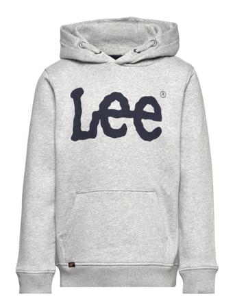 Lee Jeans Wobbly Graphic Bb Oth Hoodie Grå
