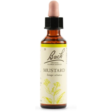 Mustard Bach Original Flower Essences 20ml