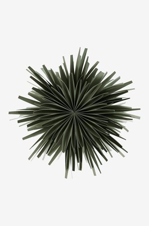 Jotex - AVOIR julestjerne ø 56 cm Mørk grønn - Kjøp Julestjerner hos Jotex