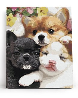 Painting by numbers Fluffiga små ansikten - Varvikas