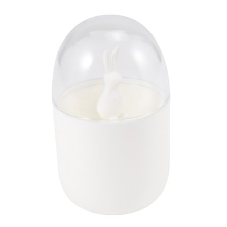 Hållare för bomullspinne, små Q-tips Tandpetare Organizer DXGHC