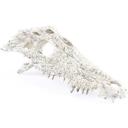 Akvarie Dyrehodeskalle Dekorasjoner Fisk Reptil Skilpadde Tank Dekor Ornament Kjæledyr Krokodille