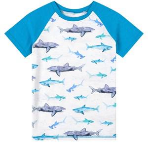 Hatley White Shark Graphic T-Shirt 4 Years - Tops - 4 years - White