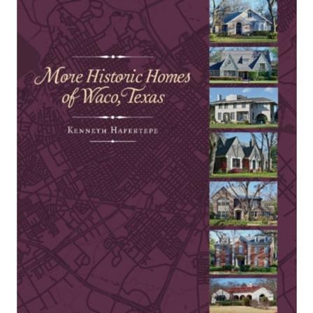 More Historic Homes of Waco, Texas (inbunden, eng)