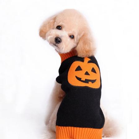 Kurpitsa Koiran Pusero Halloween Lemmikki Puserot Lomapäivä Juhlat Kissalle Ja Pennulle Halloween Joulu Lemmikki S