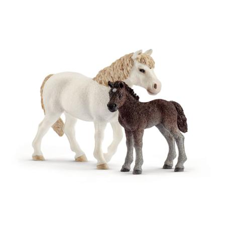 Schleich Ponny Sto Och Föl 42423 Multifärg
