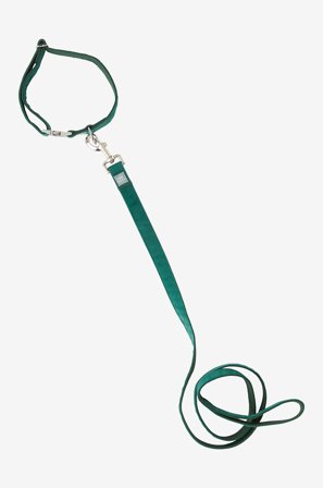 Jotex - Hundelenke Og Hundehalsbånd Grønn - LUCA - Kjøp Kjæledyrutstyr hos Jotex