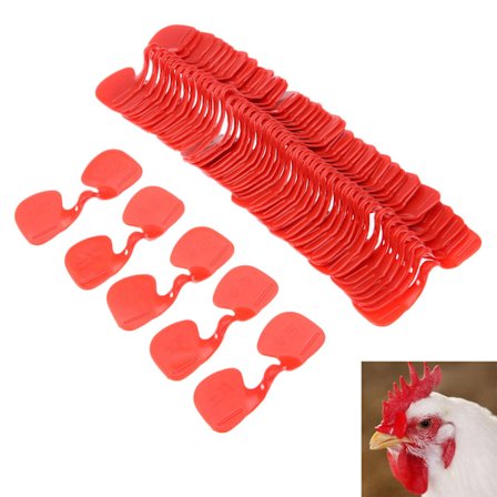 100 stk. Kyllingebriller til husdyr for at undgå hønsehakning