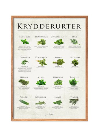 Poster & Frame Krydderurter - Multi/patterned - 30X40CM