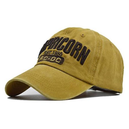 Baseball-lippis, pinnoitettu baseball-lippis