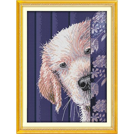 Leimatut Ristinompelusarjaset 11CT 13X17 tuumaa 100% Puuvilla DIY Kirjonta Aloituspakkaukset Helppoja Kuvioita Leimatut Kirjontapakkaukset Aikuisten 