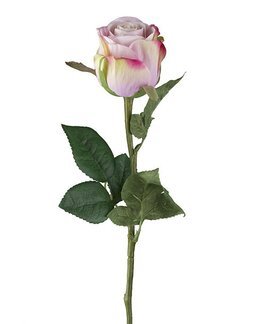 Tekokasvi leikkokukka Ruusu 50 cm 1 kpl Liila