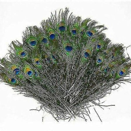 Nye 100 stk. naturlige påfuglefjer 25-30 cm til buket DIY dekoration