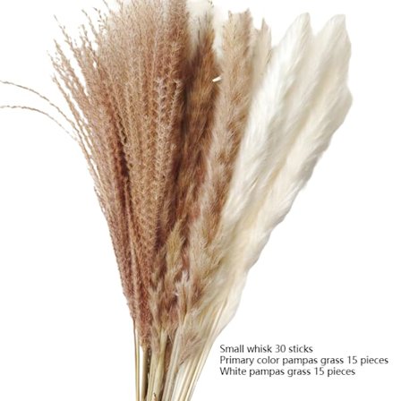 Naturlig pampasgräs torkat, fluffigt och böljande torkade blommor