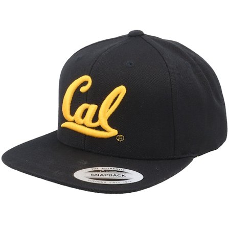 Park Fields - Cal Bears 3d Logo Black Snapback Snapback Black Cap - College @ Hatstore