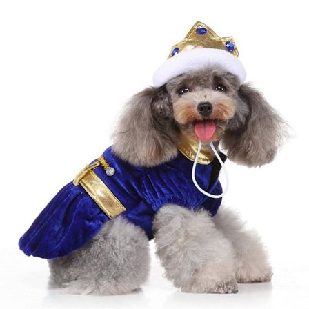 Hunde Halloween Kostyme, Morsomme Kjæledyr Klær Party Kostyme for Små Hunder, Kjæledyr Hund Kostymer med Kronehatt for Halloween Julebord (XL)