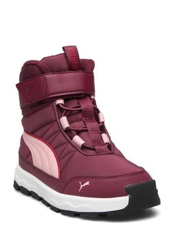 Puma Evolve Boot Ac+ Ps Vinterstøvletter Med Borrelås Burgunder PUMA*Betinget Tilbud