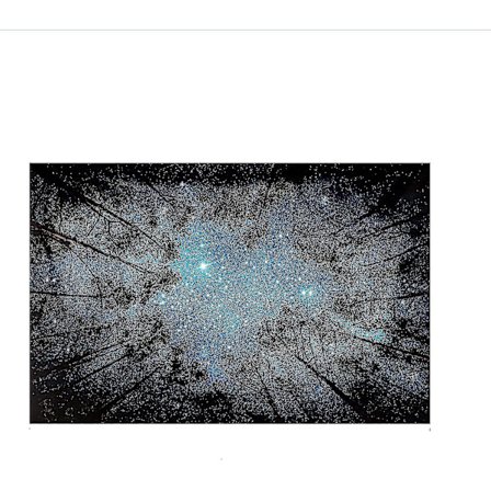 Tåge Skov Træ Vægtæppe Psykedelisk Væghængning Naturlig Landskab Picnic Strandtæppe Tæppe 230 X 180 Cm