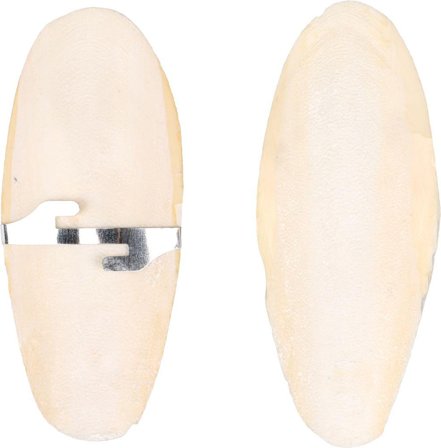 Sepiaskall Mineralstein til Fugl, 2stk - 11cm