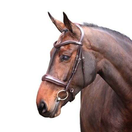 Velociti Lusso Elite Läderpaddad Häst Cavesson Bridle Pony