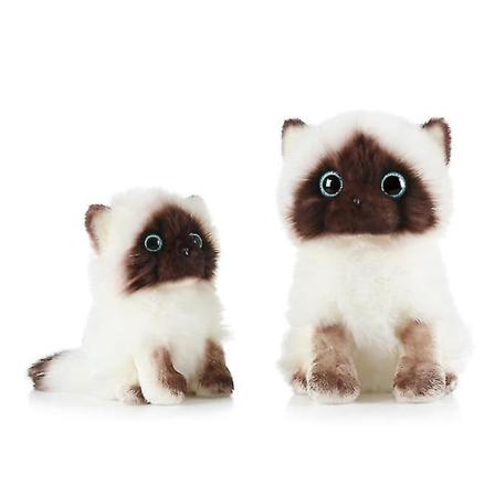 Søt Ragdoll-katt plysj utstoppede dyr leker [GL] 20cm