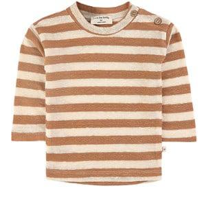 1+ in the family Biscuit Mikel T-shirt - Tops - 9 months - Brown