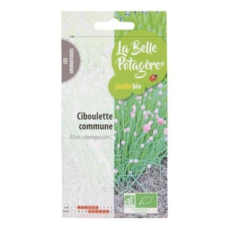 Frø til at så - Almindelig purløg - 0,5 g