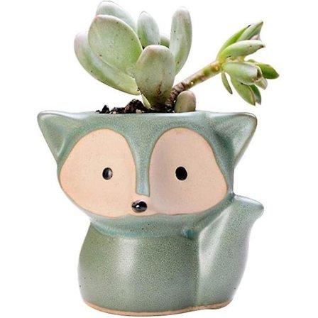 Sød Keramik Plantepot Til Soveværelse Kontor Studie Kontor Kaktus Grøn Type