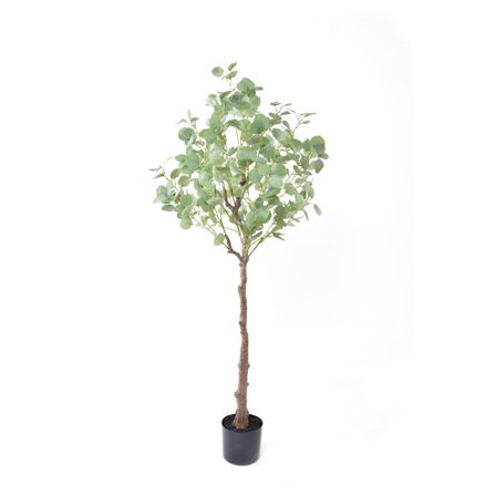 Sølvdollar eukalyptustræ, 150 cm, grønt silkestof