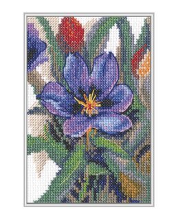 Stickpackung Bild Frühlingskrokus