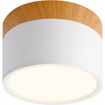 Kattovalaisin, Pyöreä LED Musta Lämmin Kylmä Valkoinen Alumiini Kattolamppu 12W 110mm 230V 6000K Eteiseen Makuuhuoneeseen Ruokasaliin Keittiöön