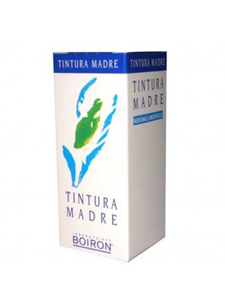 Betula Alba 60ml Tintura Madre