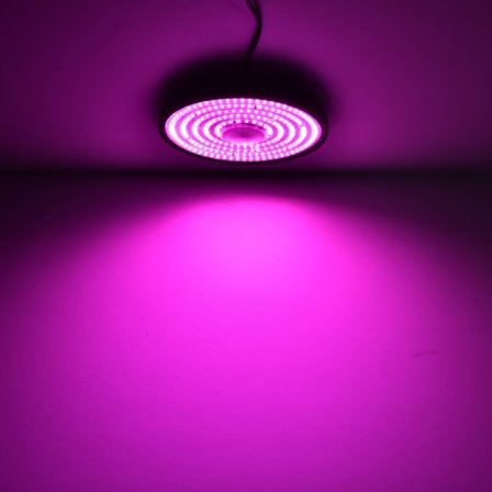 Fullspektrum plantelys drivhus planting dragefrukt innendørs LED fyllelys plantelys gruvelampe