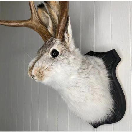 Husvarmingsgave dekorasjoner jackalope tradisjonell svart treplakett dyr
